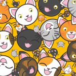 cats, cute, kitty-1722373.jpg