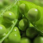 peas, pods, vegetables-3540388.jpg