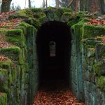 leaf, wood, path-3345134.jpg